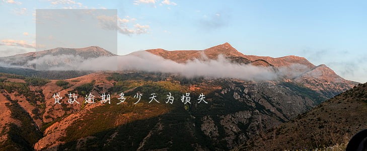 贷款逾期多少天为损失 贷款逾期多少天为损失