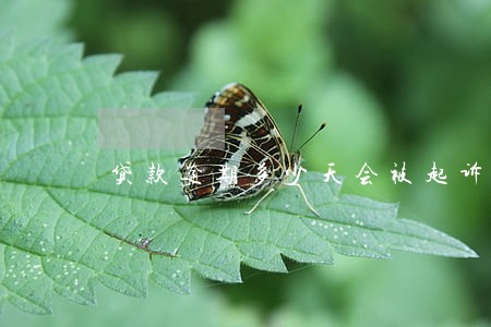 贷款逾期多少天会被起诉 贷款逾期多少天会被起诉