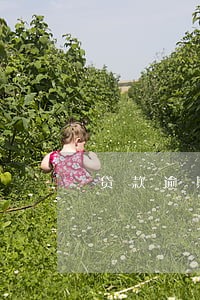 贷款逾期多少天催收 贷款逾期多少天催收
