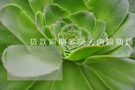 贷款逾期多少天内逾期通知书 贷款逾期多少天内逾期通知书