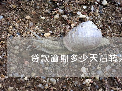 贷款逾期多少天后转呆滞 贷款逾期多少天后转呆滞