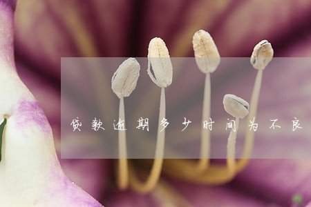 贷款逾期多少时间为不良 贷款逾期多少时间为不良