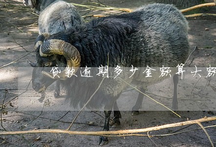 贷款逾期多少金额算大额度 贷款逾期多少金额算大额度