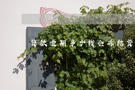 贷款逾期多少钱会冻结资产 贷款逾期多少钱会冻结资产