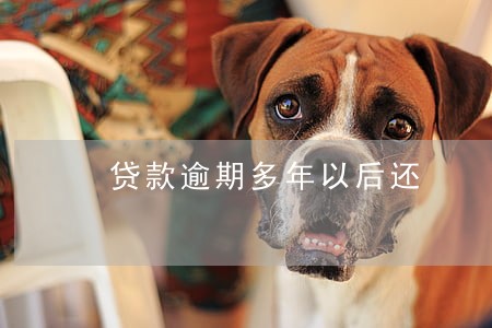 贷款逾期多年以后还 贷款逾期多年以后还