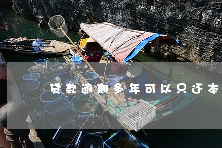 贷款逾期多年可以只还本金吗 贷款逾期多年可以只还本金吗