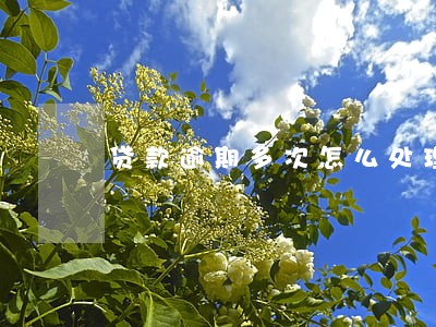 贷款逾期多次怎么处理 贷款逾期多次怎么处理