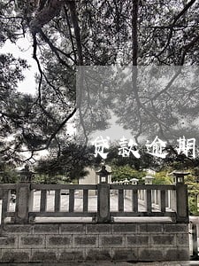 贷款逾期多还能申请房贷吗 贷款逾期多还能申请房贷吗