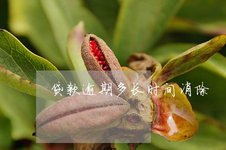 贷款逾期多长时间消除 贷款逾期多长时间消除