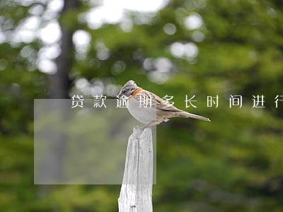 贷款逾期多长时间进行核销