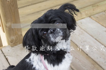贷款逾期天怎么计算公式 贷款逾期天怎么计算公式
