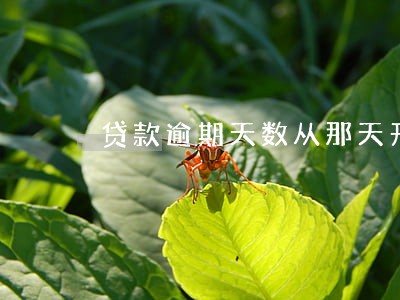 贷款逾期天数从那天开始计算 贷款逾期天数从那天开始计算