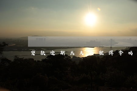 贷款逾期太久会被缉拿吗 贷款逾期太久会被缉拿吗