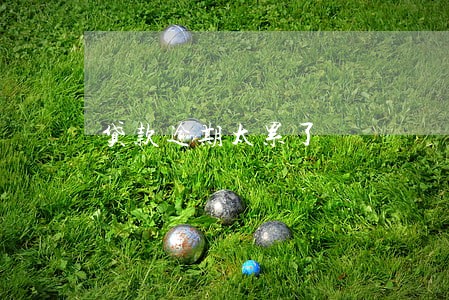 贷款逾期太累了 贷款逾期太累了