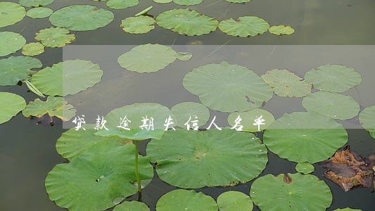 贷款逾期失信人名单 贷款逾期失信人名单