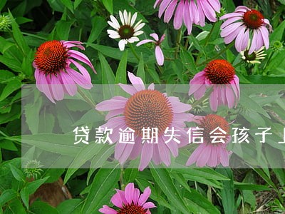 贷款逾期失信会孩子上学吗