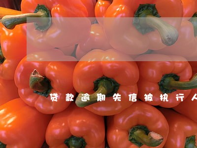 贷款逾期失信被执行人 贷款逾期失信被执行人