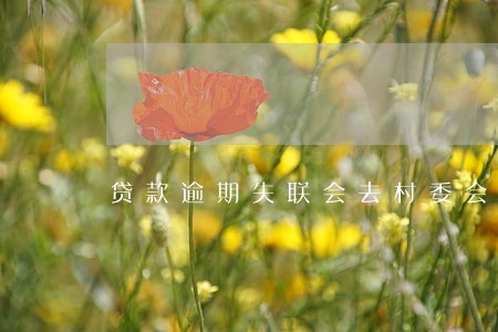 贷款逾期失联会去村委会吗 贷款逾期失联会去村委会吗