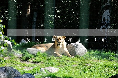 贷款逾期如何消除呆账 贷款逾期如何消除呆账