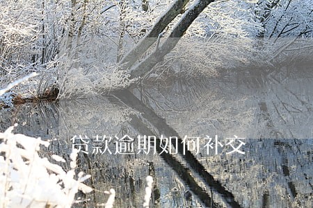 贷款逾期如何补交 贷款逾期如何补交