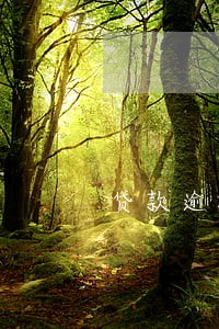 贷款逾期如何补救的故事 贷款逾期如何补救的故事