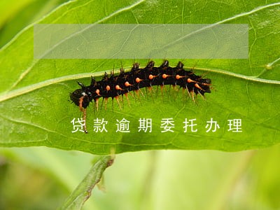 贷款逾期委托办理 贷款逾期委托办理