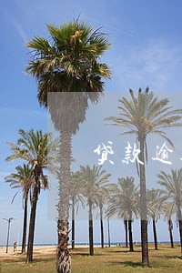 贷款逾期威胁电话怎么办 贷款逾期威胁电话怎么办