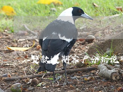 贷款逾期客户分析说明 贷款逾期客户分析说明