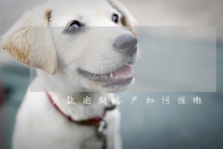 贷款逾期客户如何催缴 贷款逾期客户如何催缴
