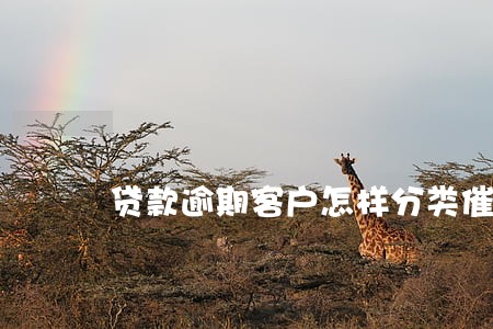 贷款逾期客户怎样分类催收 贷款逾期客户怎样分类催收