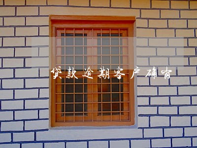 贷款逾期客户确岗 贷款逾期客户确岗