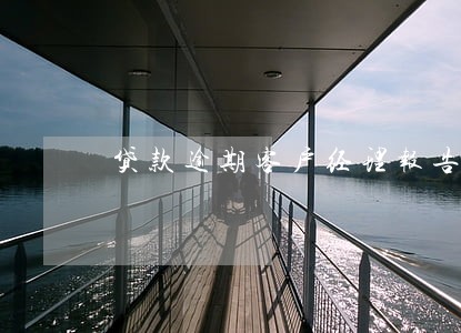 贷款逾期客户经理报告 贷款逾期客户经理报告