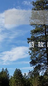 贷款逾期客户经理能解吗 贷款逾期客户经理能解吗