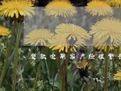 贷款逾期客户经理警告处分 贷款逾期客户经理警告处分