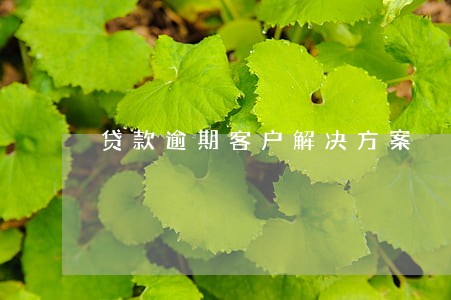 贷款逾期客户解决方案 贷款逾期客户解决方案