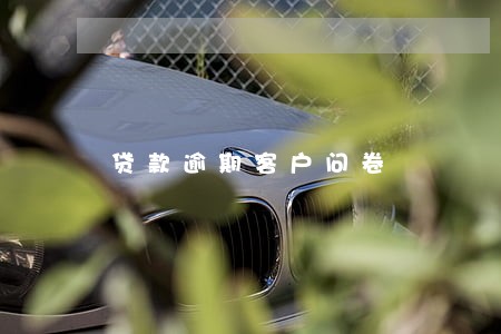 贷款逾期客户问卷 贷款逾期客户问卷