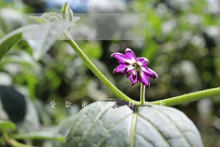 贷款逾期客群分析 贷款逾期客群分析
