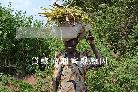 贷款逾期客观原因