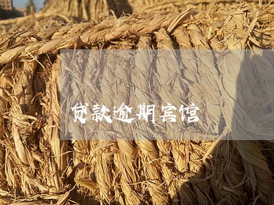贷款逾期宾馆 贷款逾期宾馆