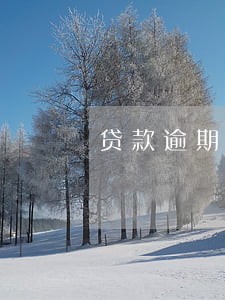 贷款逾期寄函 贷款逾期寄函