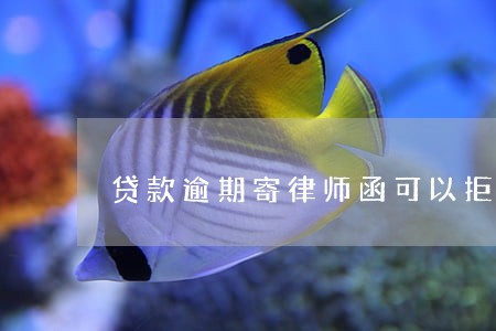 贷款逾期寄律师函可以拒收吗