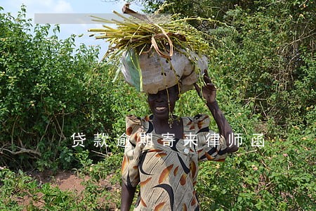贷款逾期寄来律师函 贷款逾期寄来律师函