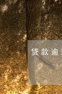 贷款逾期对个人征信影响吗 贷款逾期对个人征信影响吗