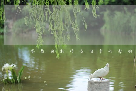 贷款逾期对信用卡的影响 贷款逾期对信用卡的影响