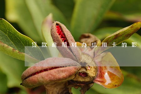 贷款逾期对办信用卡的影响