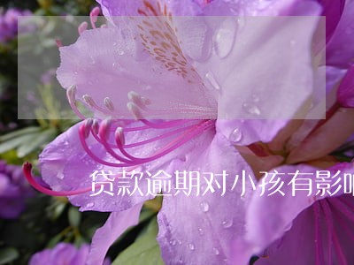 贷款逾期对小孩有影响吗 贷款逾期对小孩有影响吗