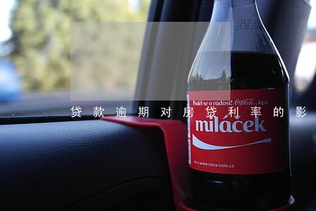 贷款逾期对房贷利率的影响 贷款逾期对房贷利率的影响