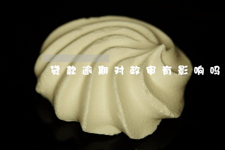 贷款逾期对政审有影响吗 贷款逾期对政审有影响吗