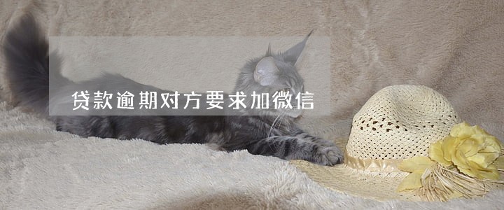 贷款逾期对方要求加微信 贷款逾期对方要求加微信