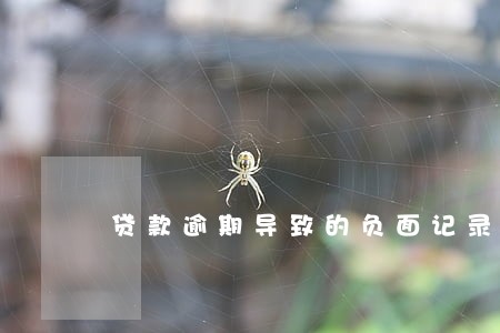 贷款逾期导致的负面记录 贷款逾期导致的负面记录